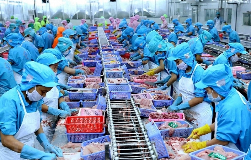 Mexico continues to be the leading market in the CPTPP bloc importing Vietnamese Tra fish