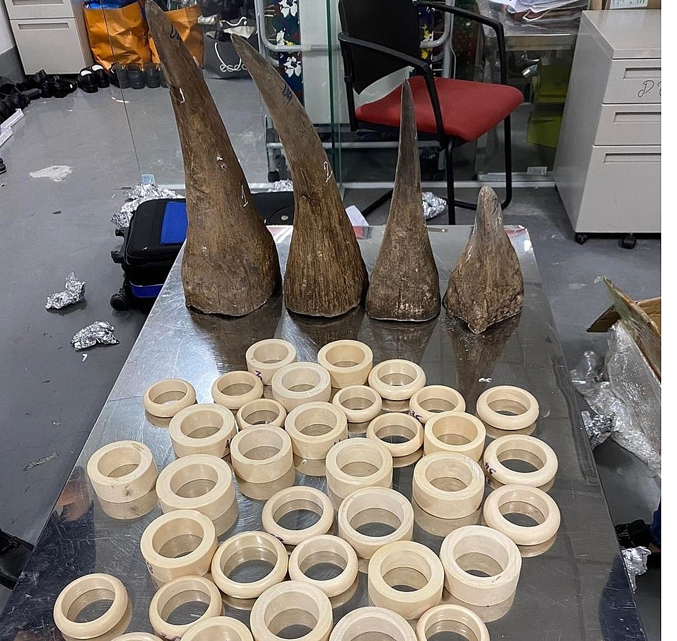 Over 16kg of rhino horn and ivory were seized by Noi Bai Customs
