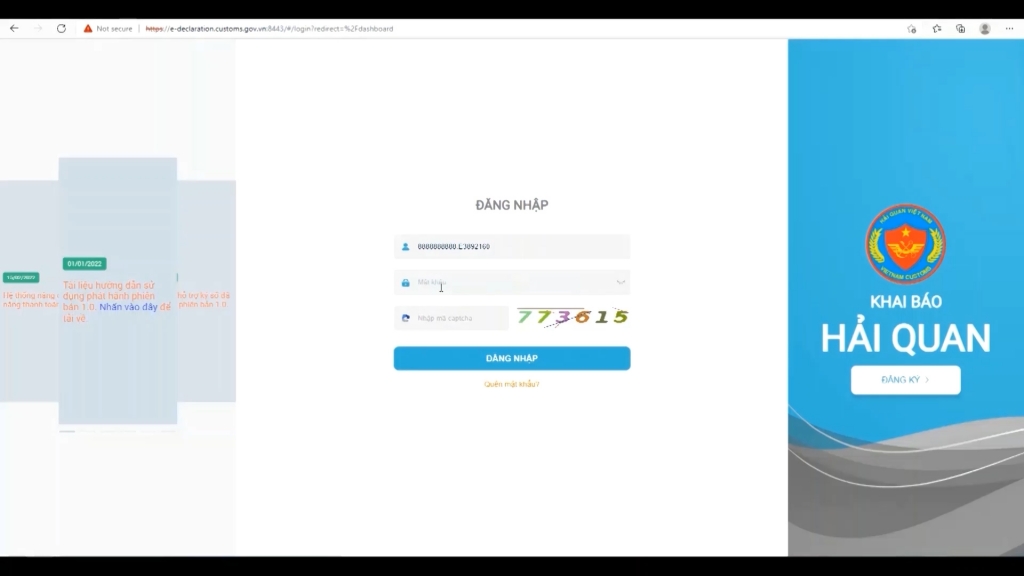 Recommend businesses to use free customs declaration software