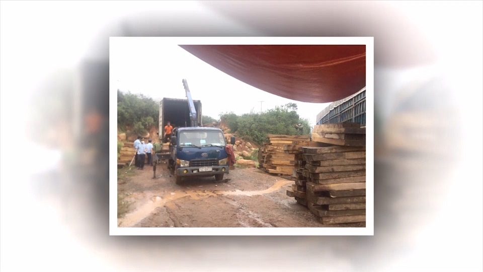 Smuggled precious wood shipment seized by Customs at La Lay Border Gate